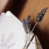 Libreta rústica con lápiz plantable