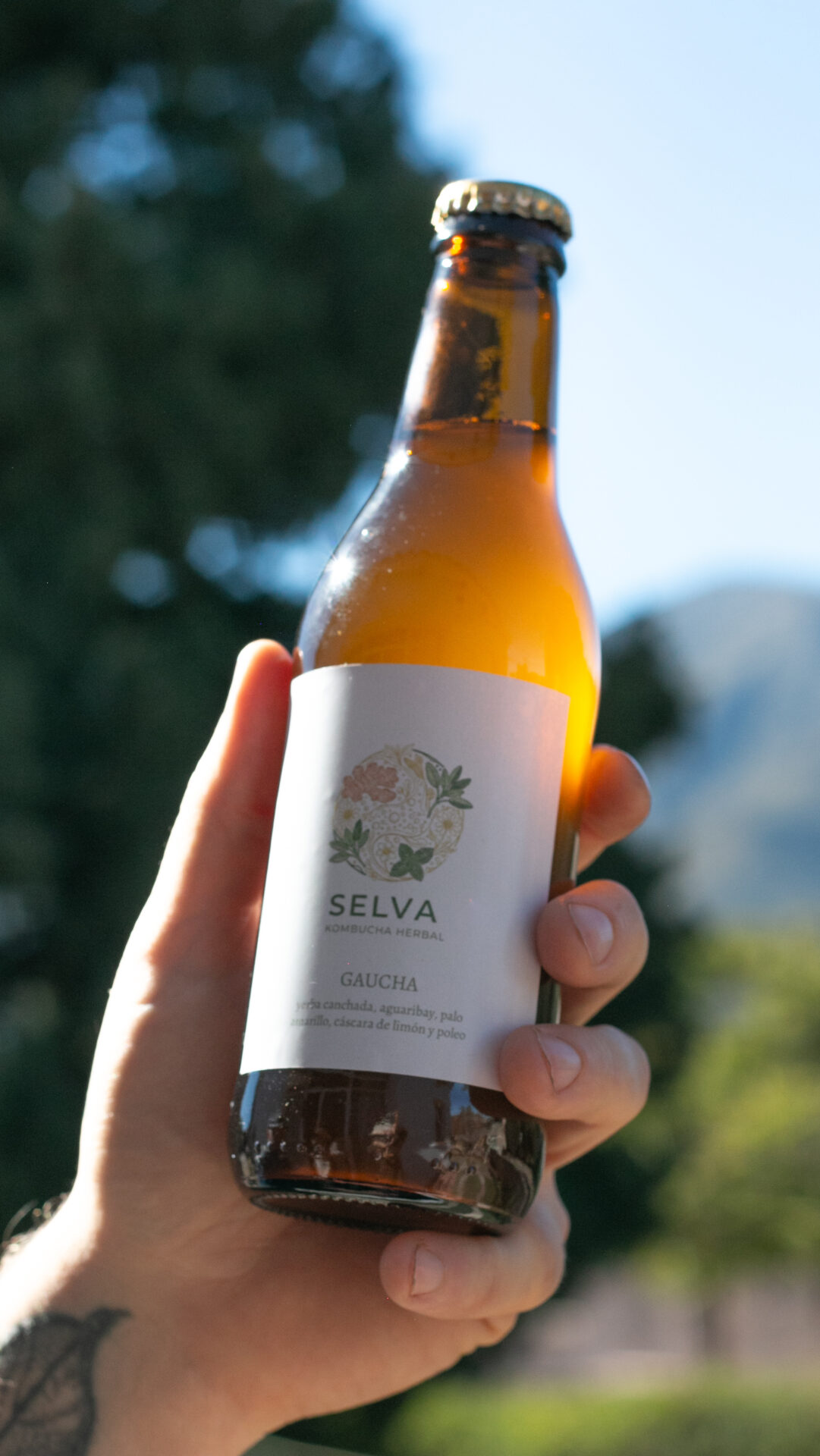 Kombucha Selva — Gaucha