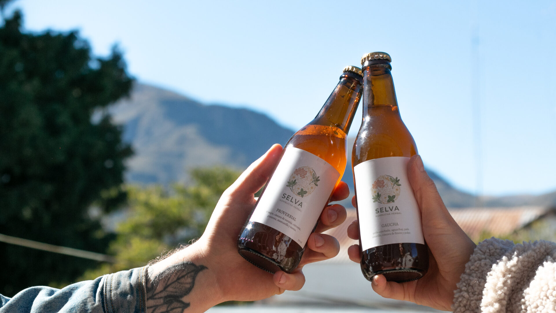 Kombucha Selva — Gaucha